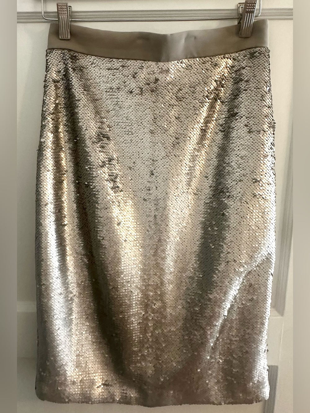 Banana Republic Sequin Pencil Skirt - Metallic Silver